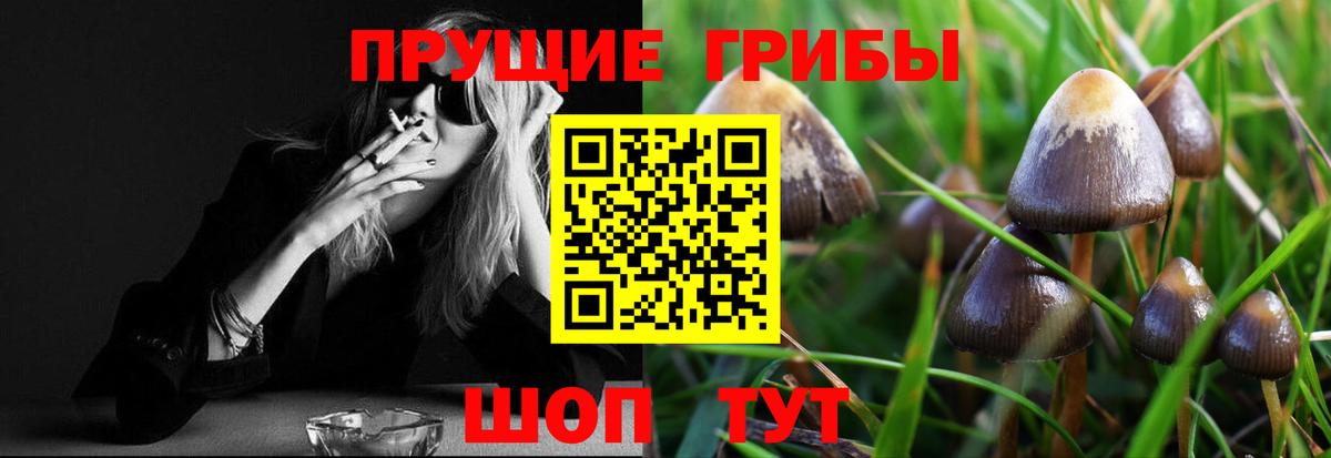 Кимры  Галлюциногенные грибы прущие грибы  Вход с VPN 