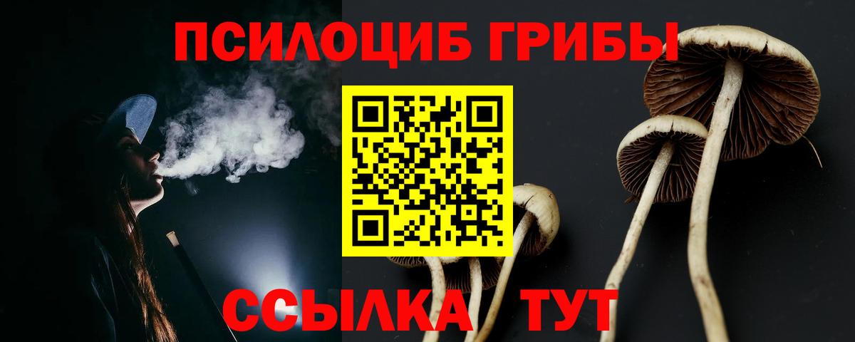 Галлюциногенные грибы Psilocybe Кимры